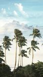 海边风景
