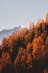 大山风景