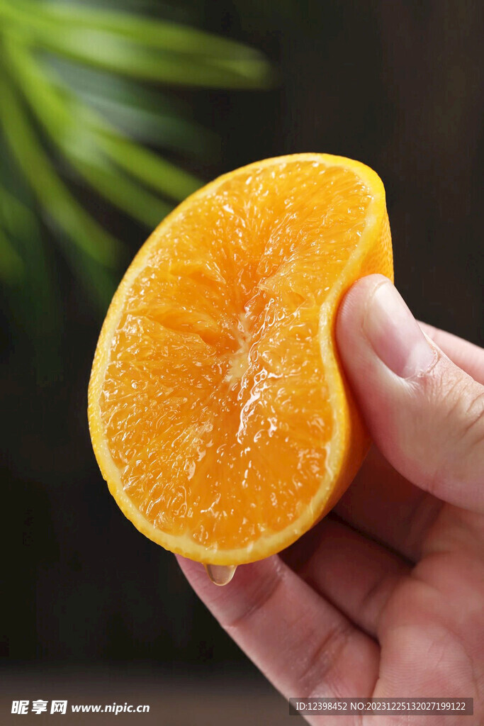 冰糖橙