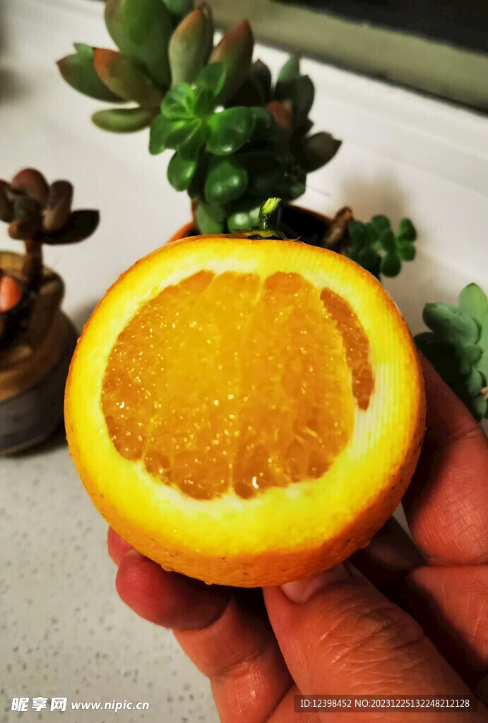 冰糖橙