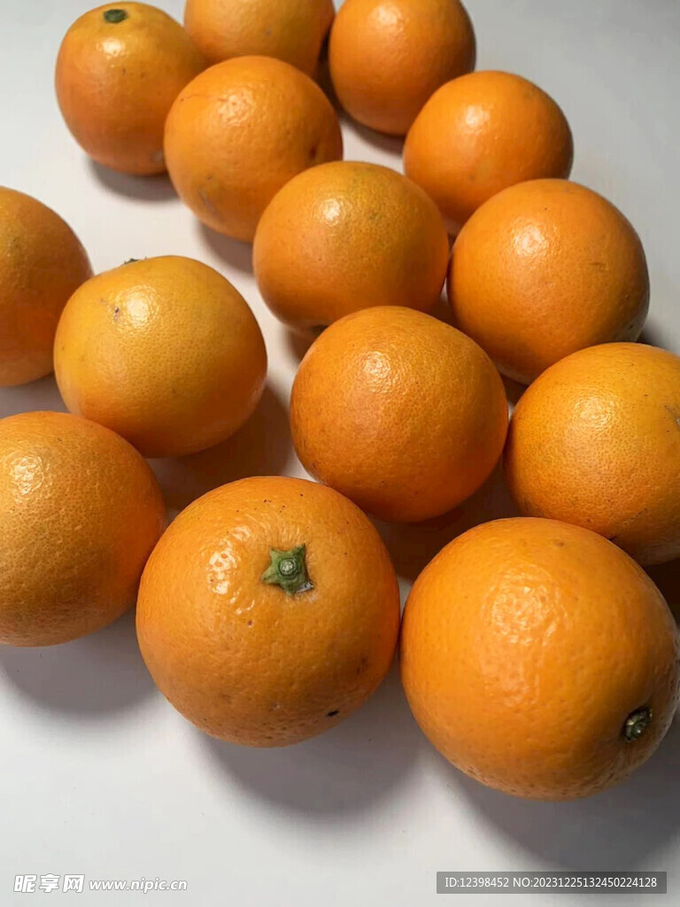 冰糖橙