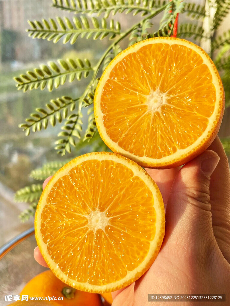 冰糖橙