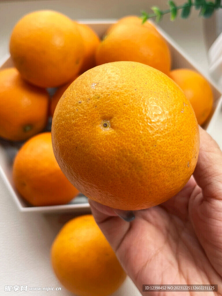 橙子