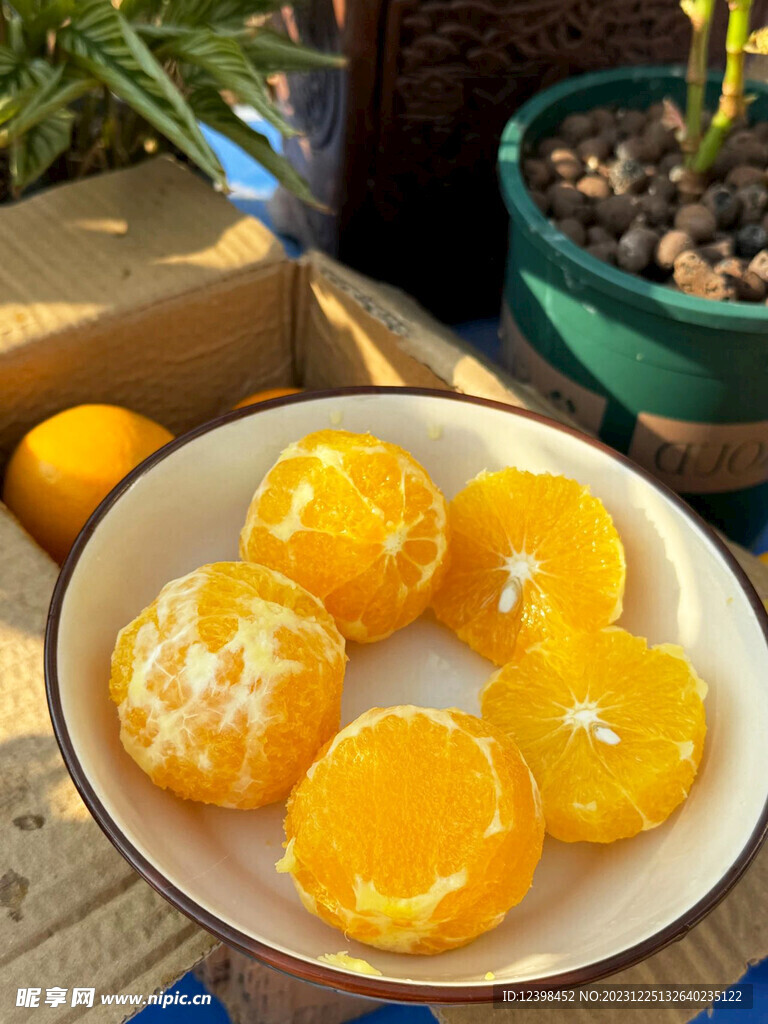 冰糖橙