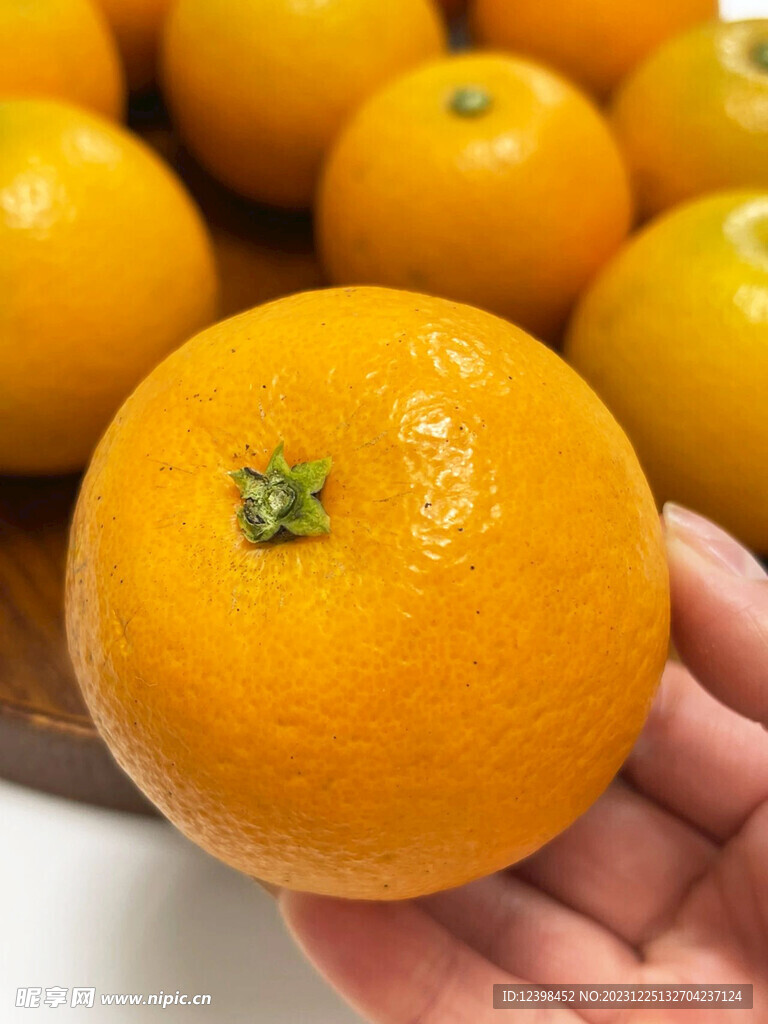 冰糖橙