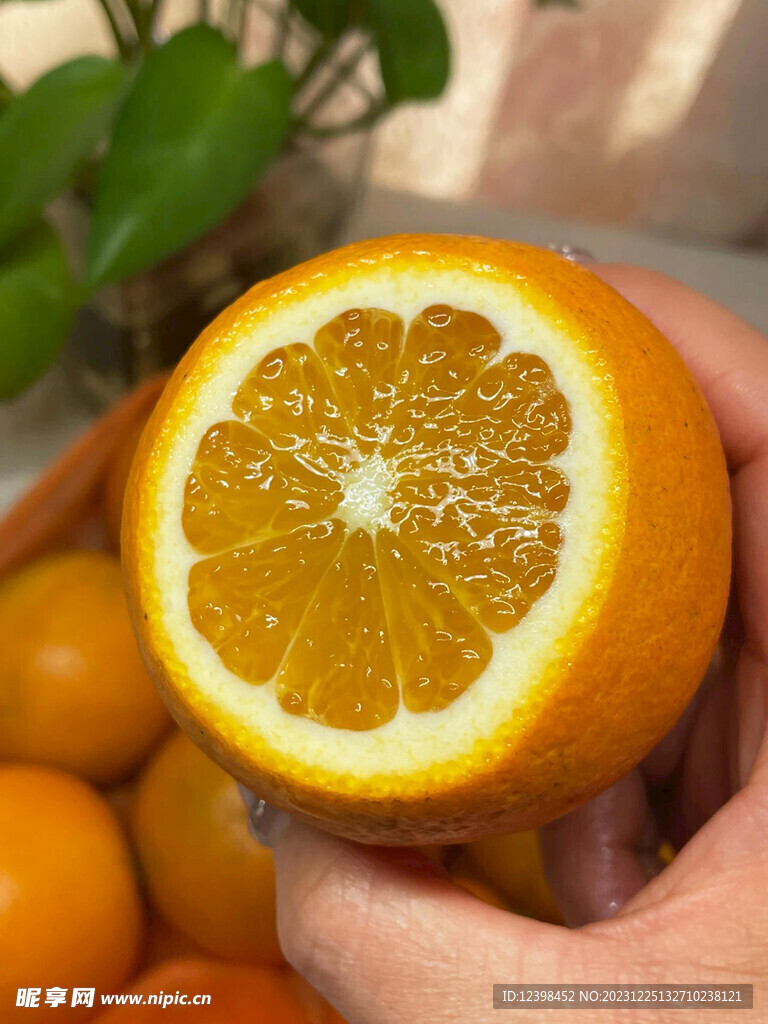 冰糖橙