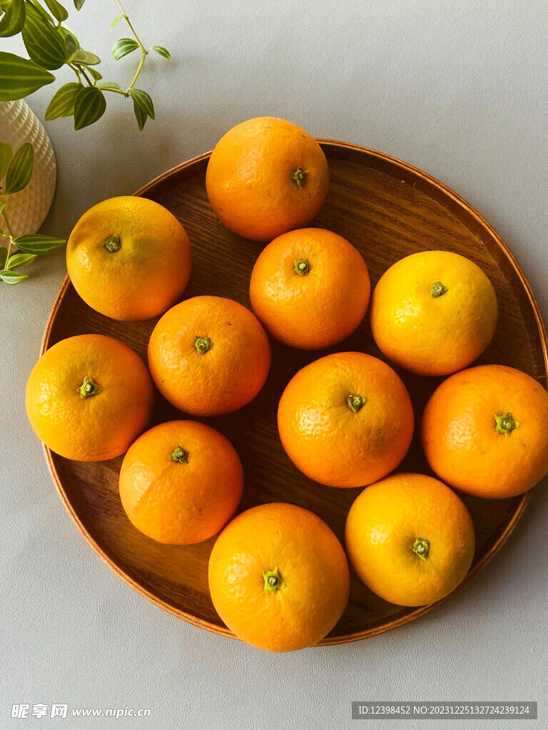 冰糖橙