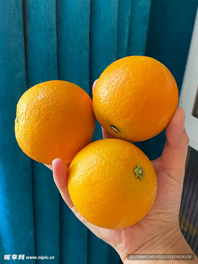 冰糖橙