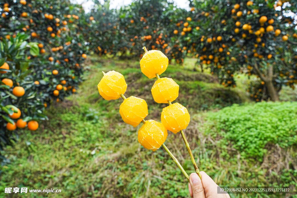 冰糖橙