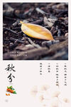 秋分