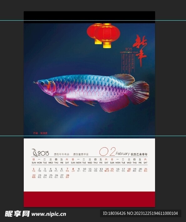 金龙鱼红龙鱼水族观赏鱼壁纸