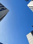 高楼 天空