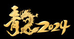  龙2024 