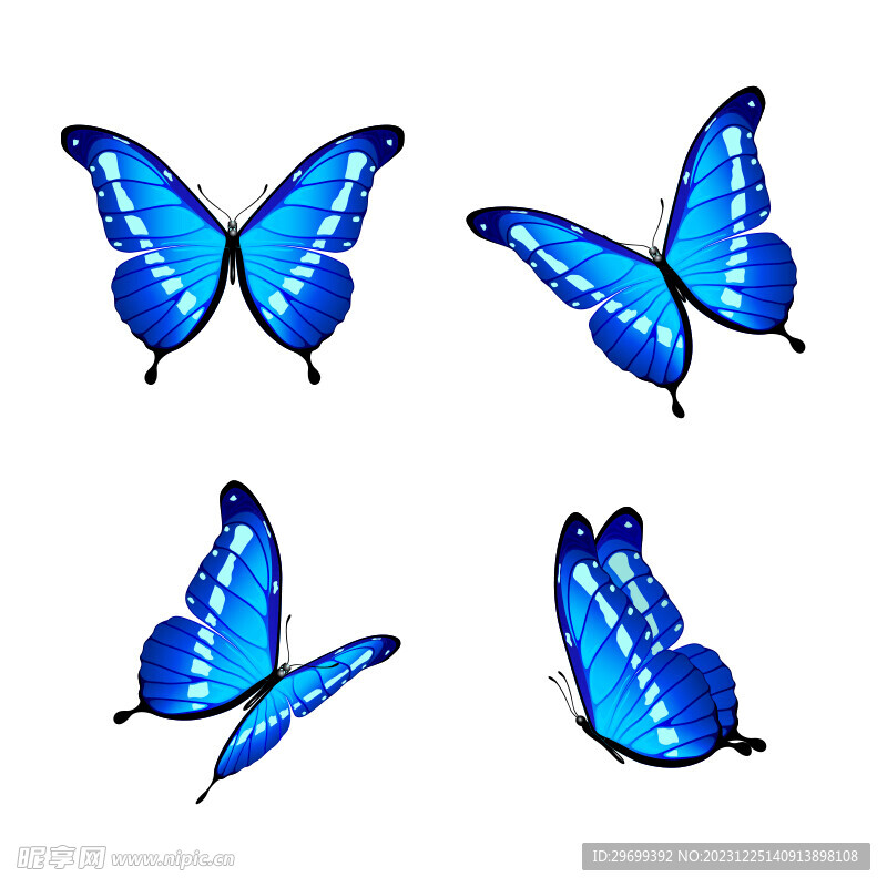 蝴蝶