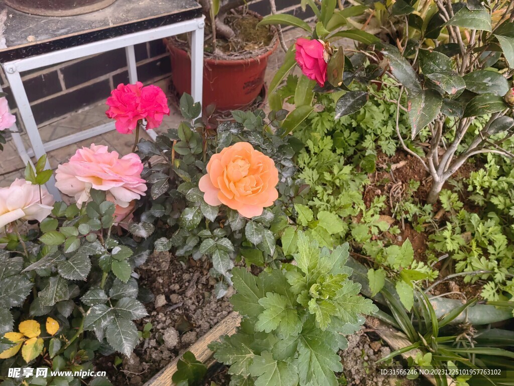 花