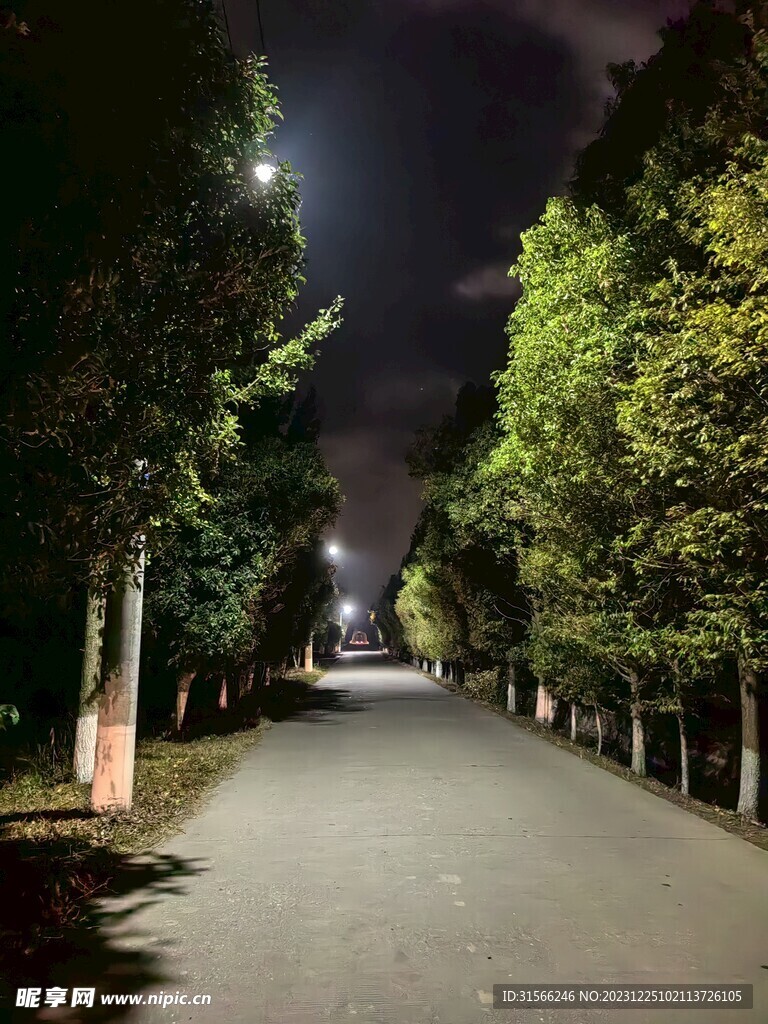 道路