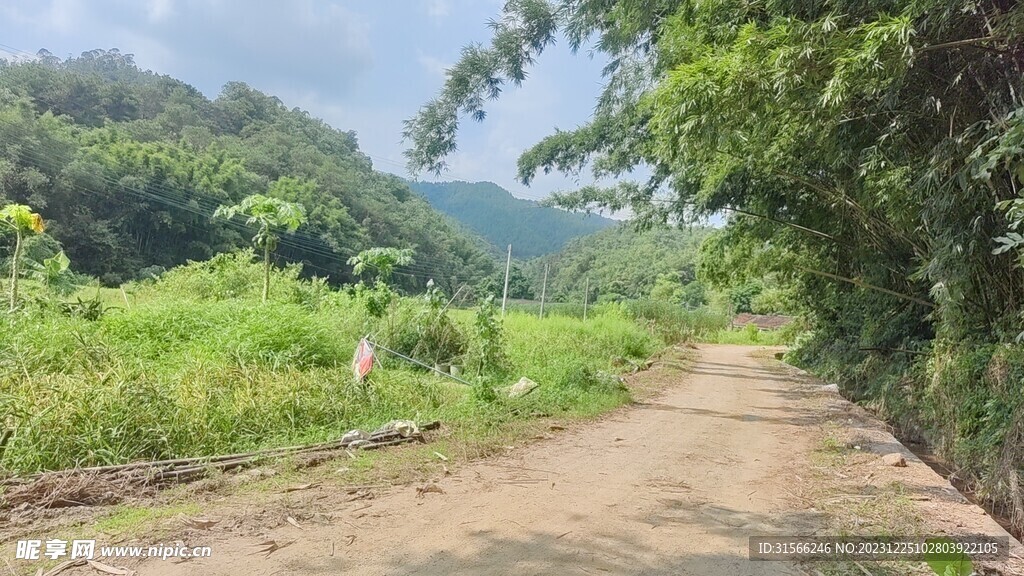 山村道路