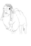 骆驼手绘线稿