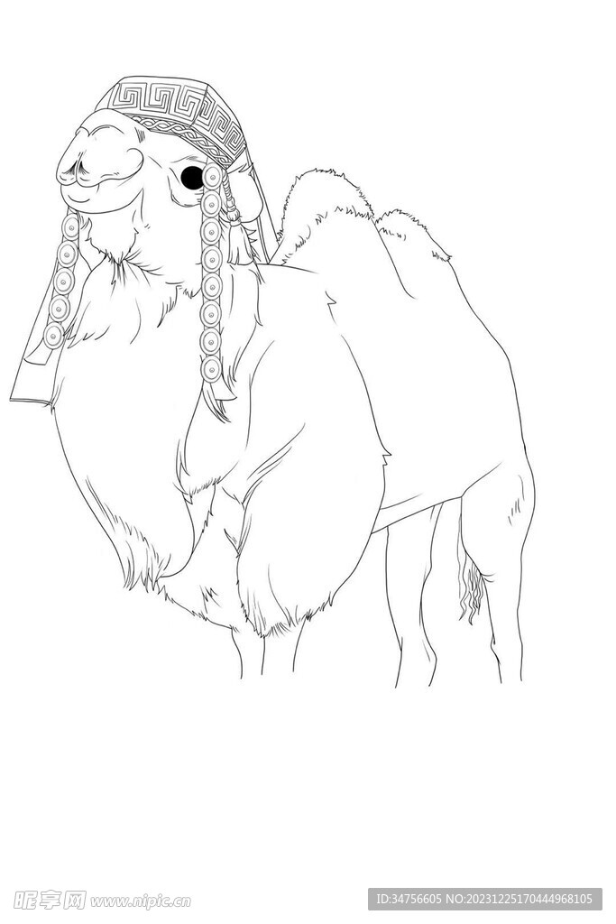 骆驼手绘线稿