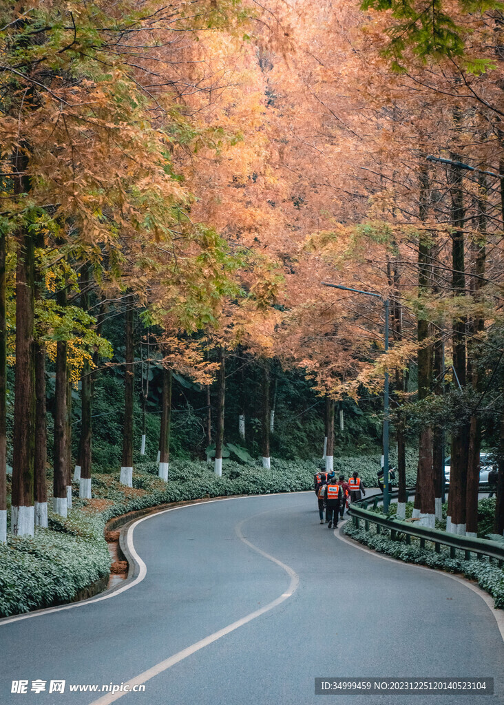 照母山