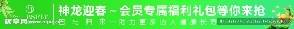易缇秀迎春条幅