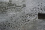 雨水