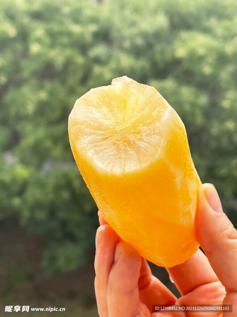 雪莲果