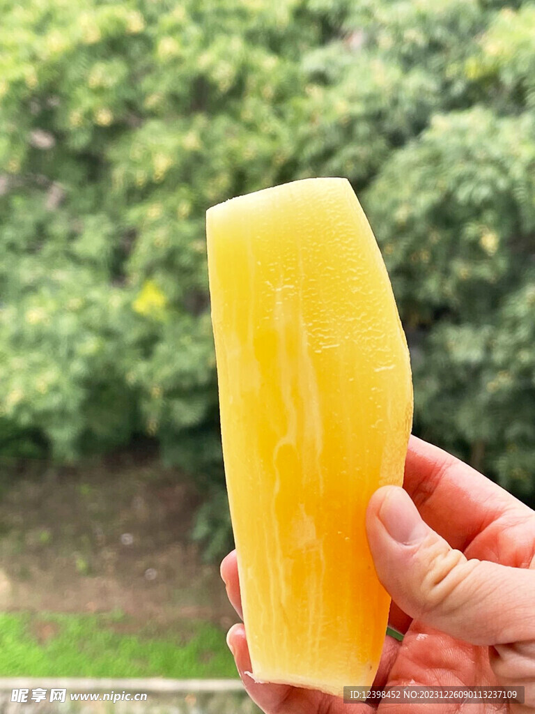 雪莲果