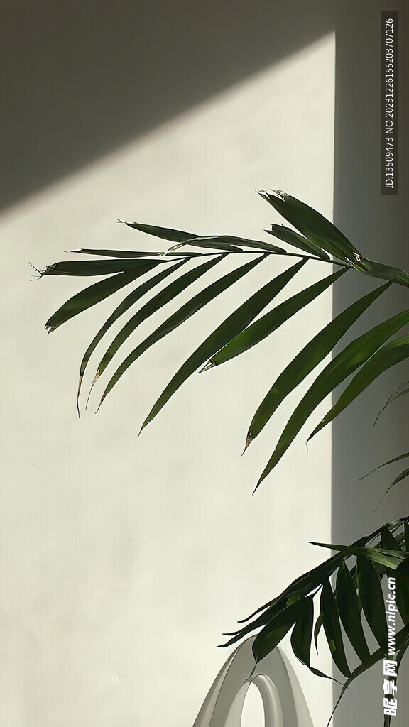 室内光线背景图