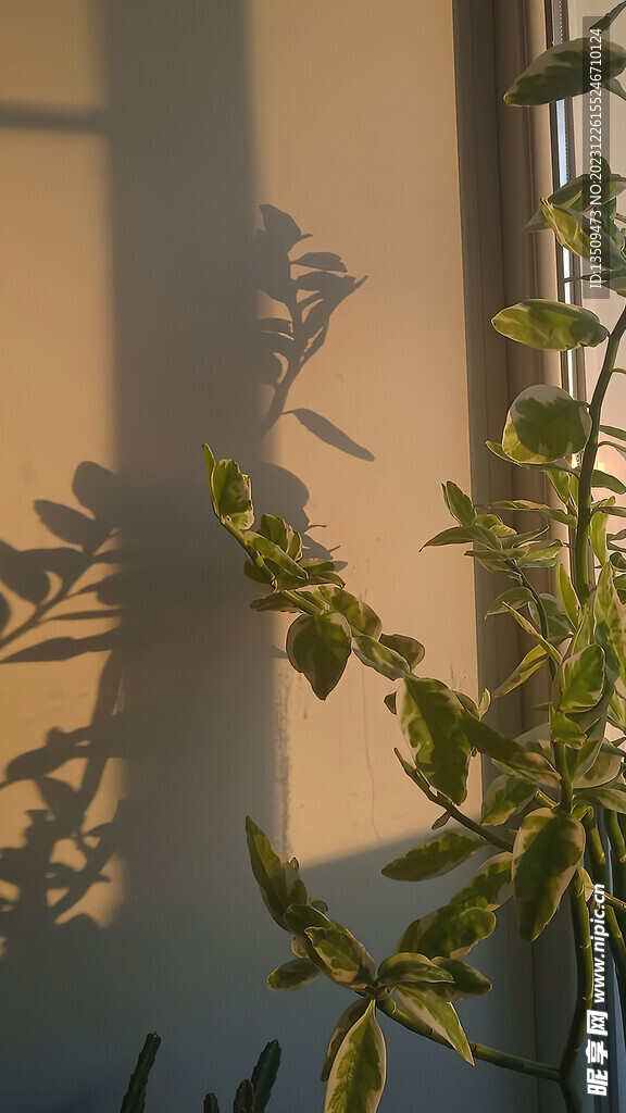 直播室内背景图