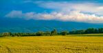 田野图片