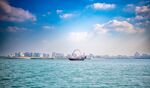 海洋景观