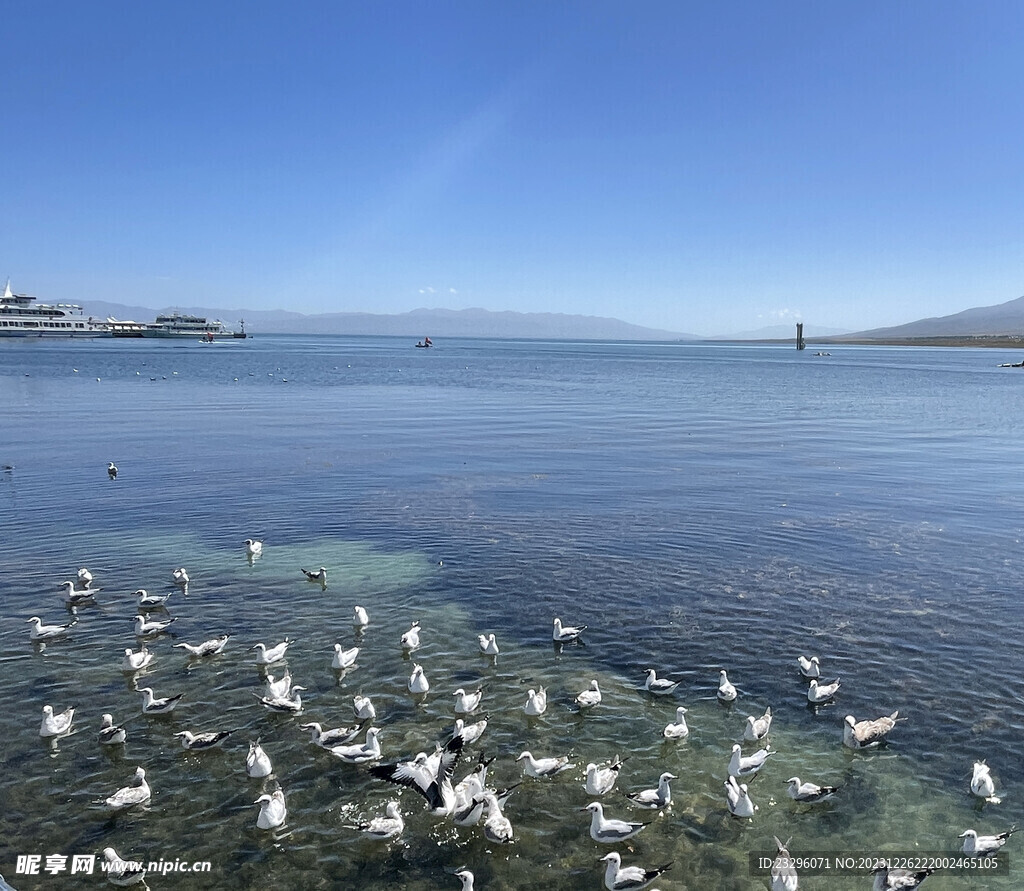 青海湖边