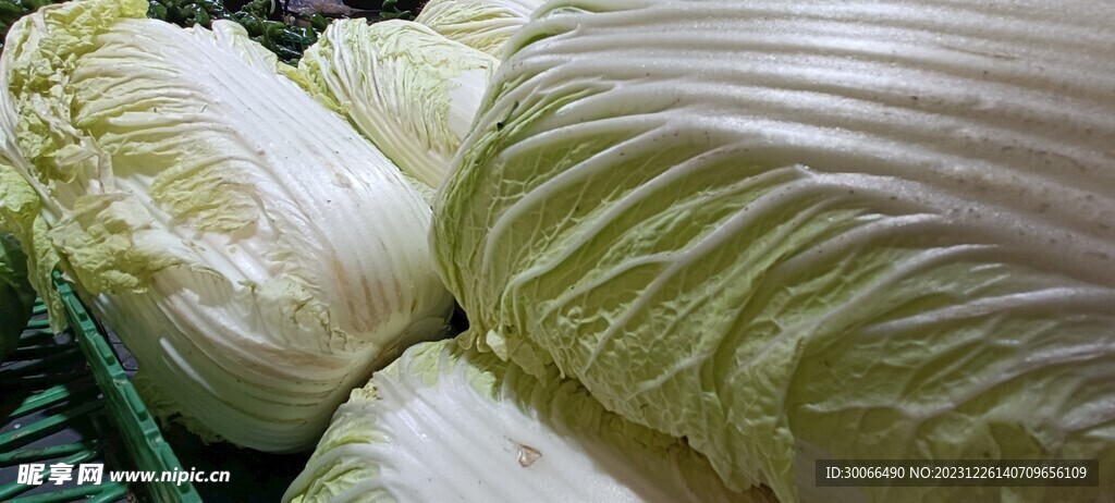 白菜