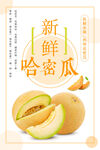 新鲜哈密瓜