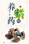 灵芝