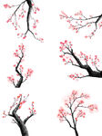 梅花