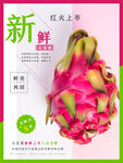 火龙果