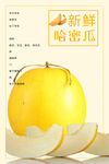 新鲜哈密瓜