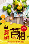新鲜芦柑
