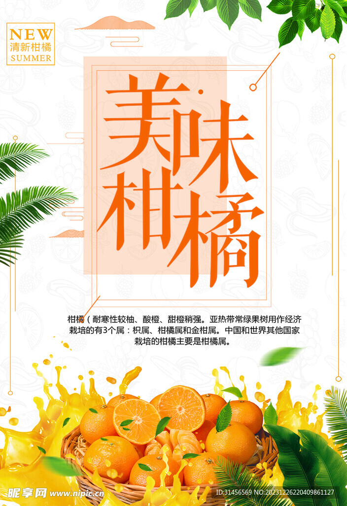 美味柑橘