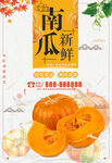 新鲜南瓜