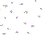 小碎花 