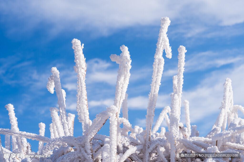 东白山雪景