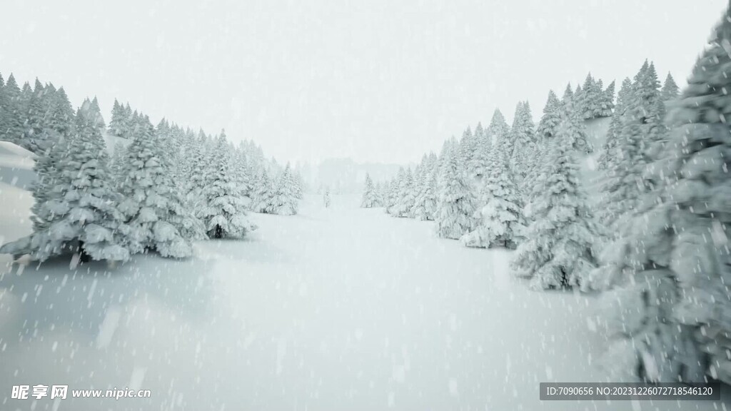 下雪的圣诞树森林