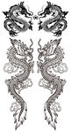 龙