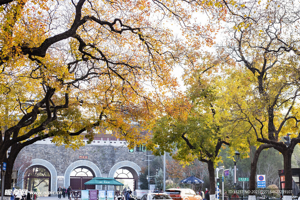 玄武公园的秋天