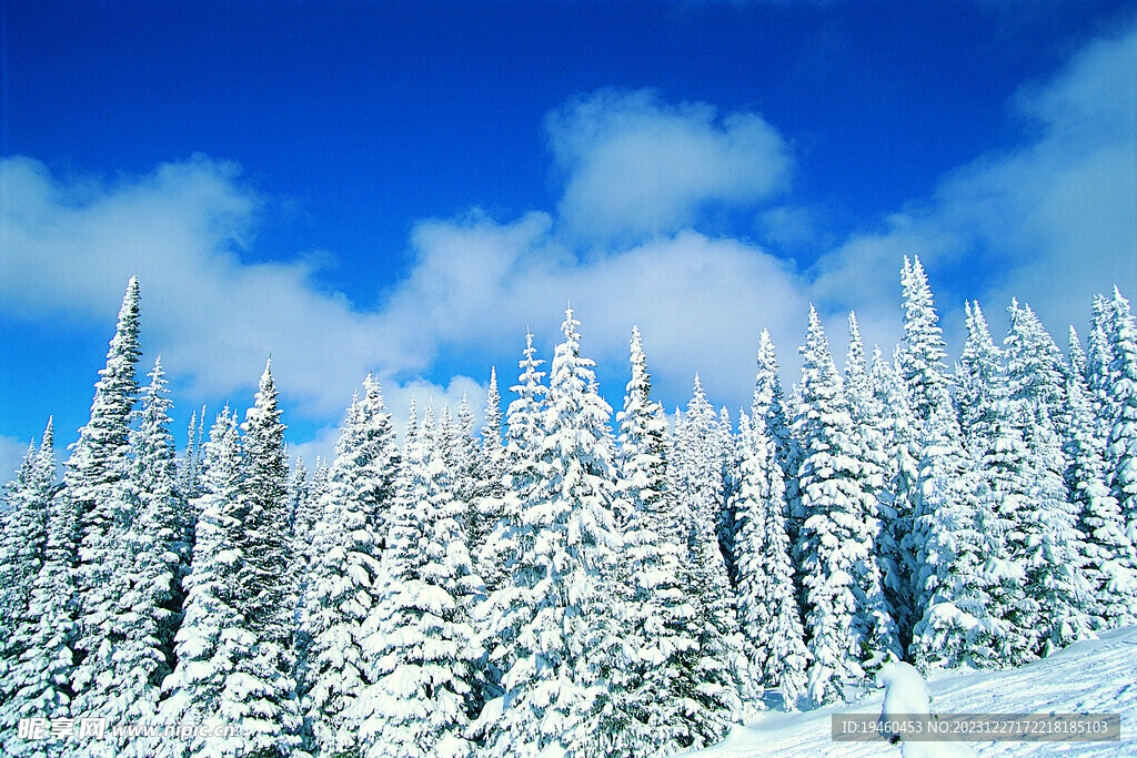 林海雪原