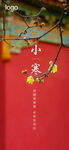 小寒节气海报 