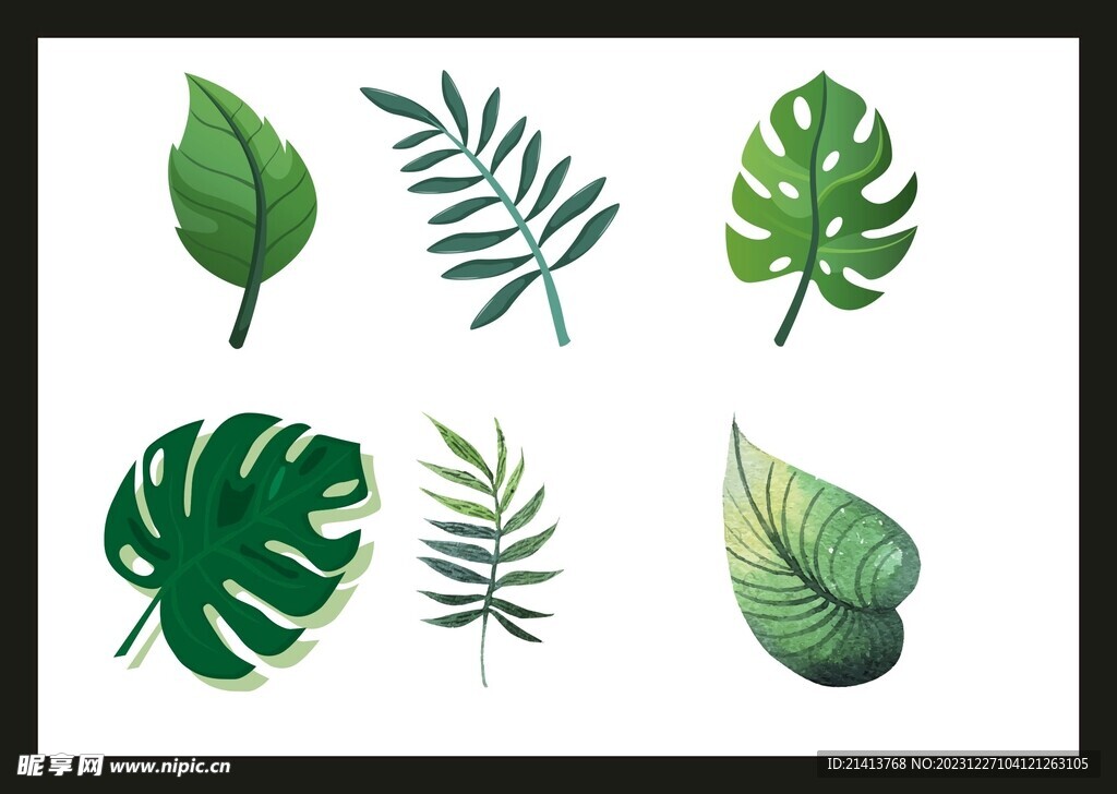 手绘绿植绿叶 